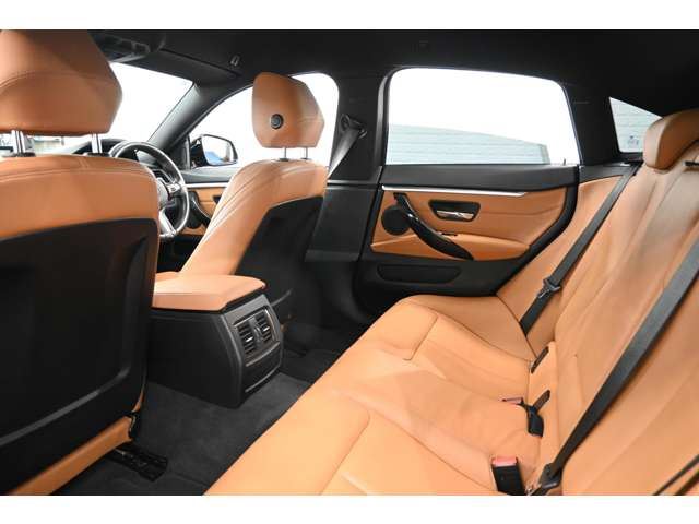 2018 BMW 4 SERIES GRAN COUPE — миниатюра 13
