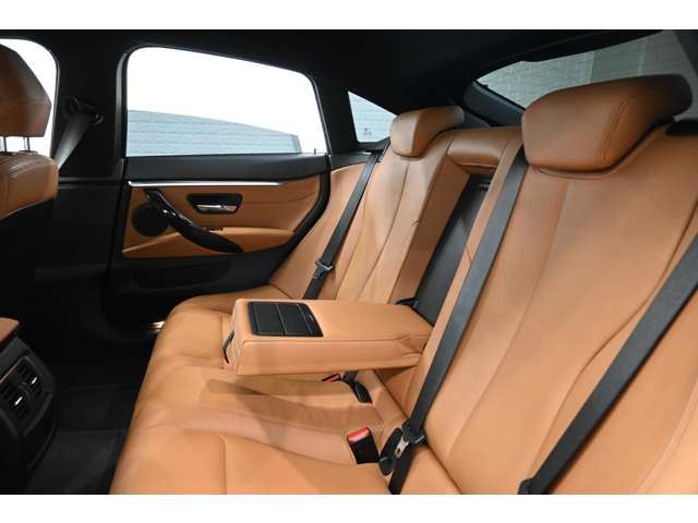 2018 BMW 4 SERIES GRAN COUPE — миниатюра 31
