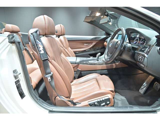 2014 BMW 6 SERIES CABRIOLET — миниатюра 15