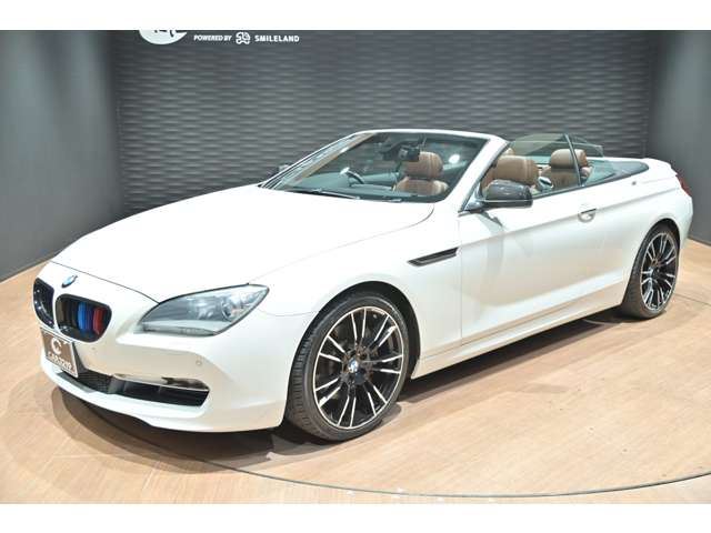 2014 BMW 6 SERIES CABRIOLET — миниатюра 42