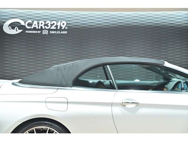 2014 BMW 6 SERIES CABRIOLET — миниатюра 52