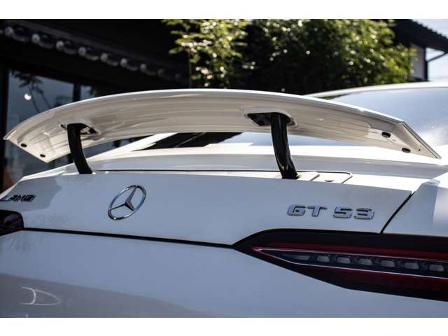 2019 Mercedes-BENZ GT AMG 缩略图 37