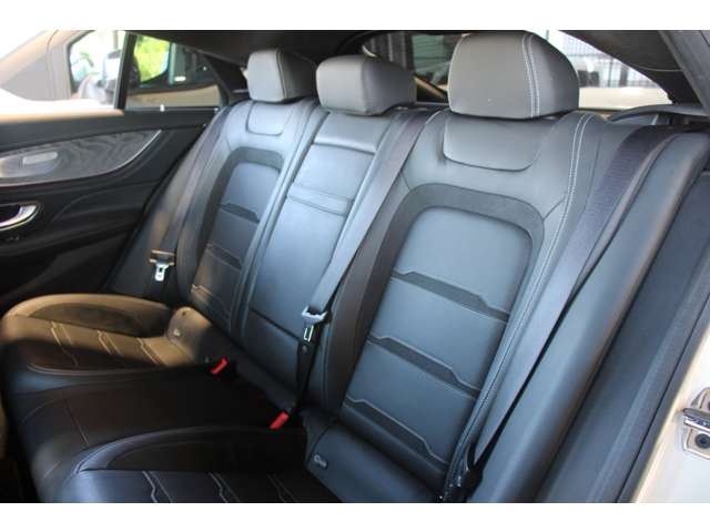 2019 Mercedes-BENZ GT AMG 缩略图 71