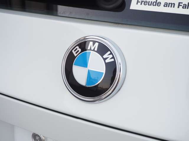 2007 BMW X3 — миниатюра 66