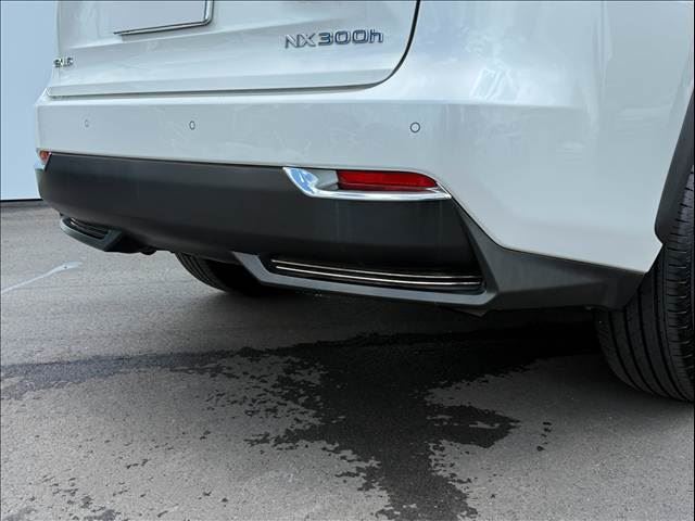 صورة مصغرة 35 لـ 2015 Lexus NX