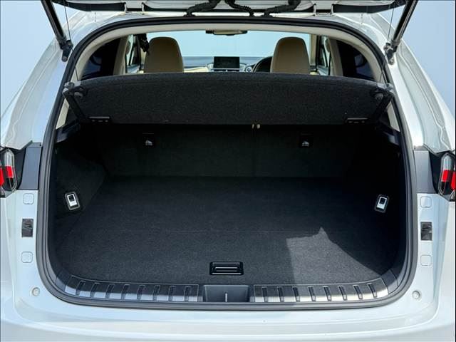 صورة مصغرة 38 لـ 2015 Lexus NX