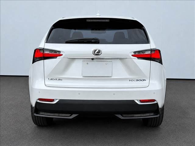 صورة مصغرة 9 لـ 2015 Lexus NX