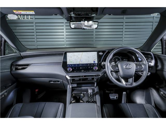 2025 Lexus RX — миниатюра 12