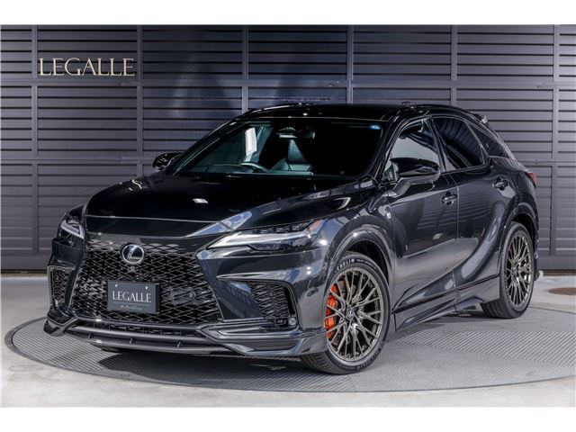 2025 Lexus RX — миниатюра 23