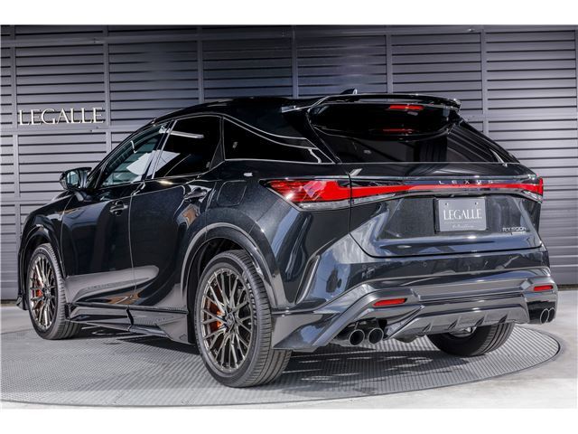 2025 Lexus RX — миниатюра 29
