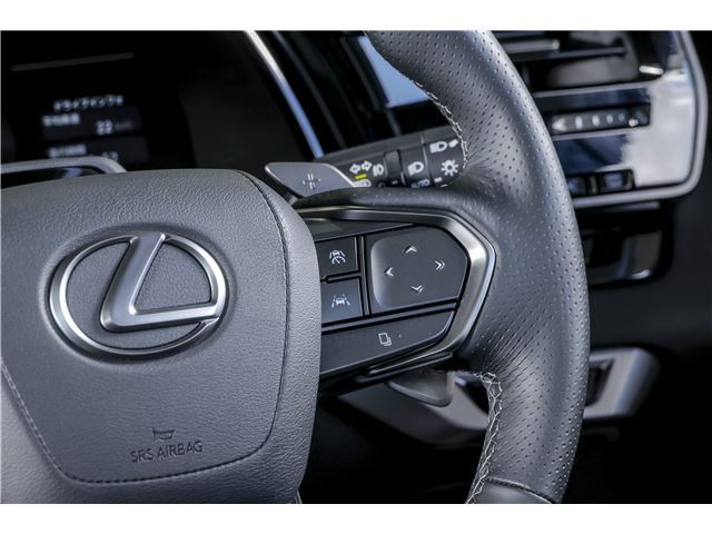 2025 Lexus RX — миниатюра 48
