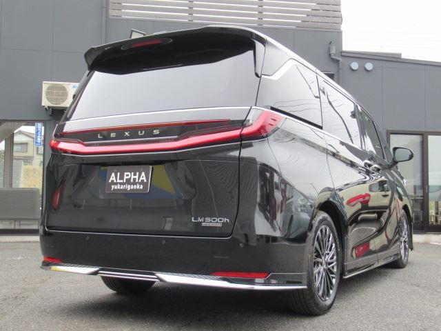 2024 Lexus LM 照片 2
