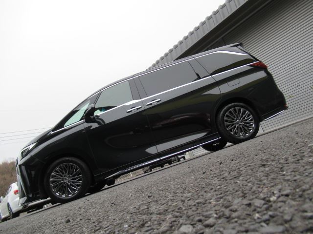 2024 Lexus LM 照片 6
