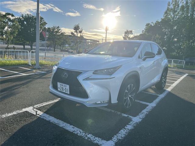 2014 Lexus NX — фото 1