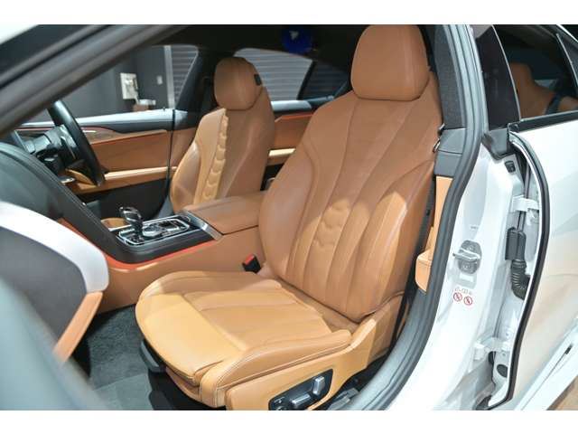 2021 BMW 8 SERIES GRAN COUPE — миниатюра 18
