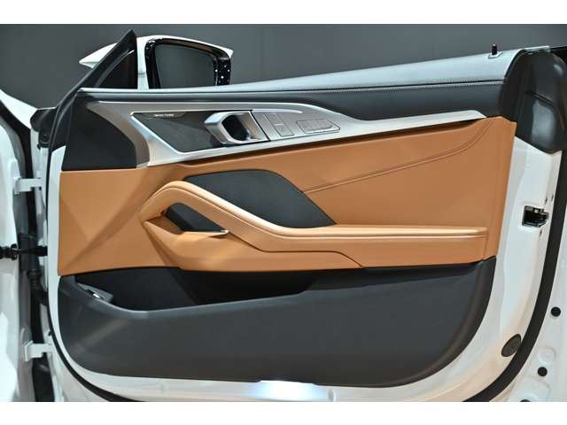2021 BMW 8 SERIES GRAN COUPE — миниатюра 48