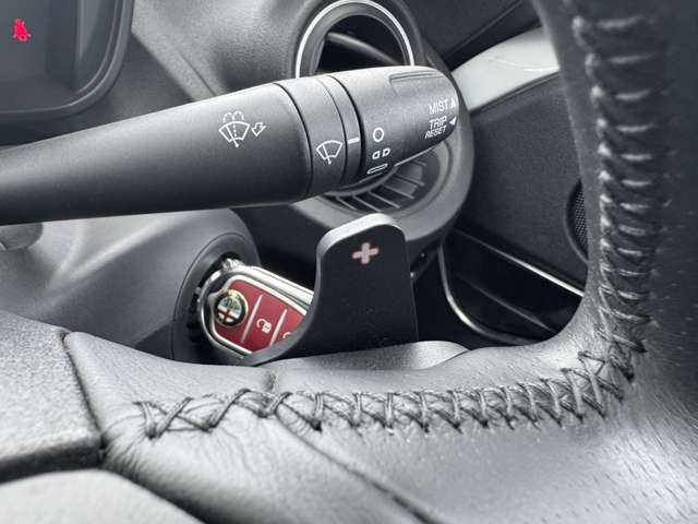 2017 ALFA Romeo 4C SPIDER 照片 10