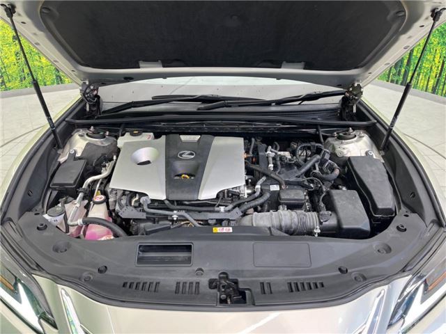 2019 Lexus ES photo 5