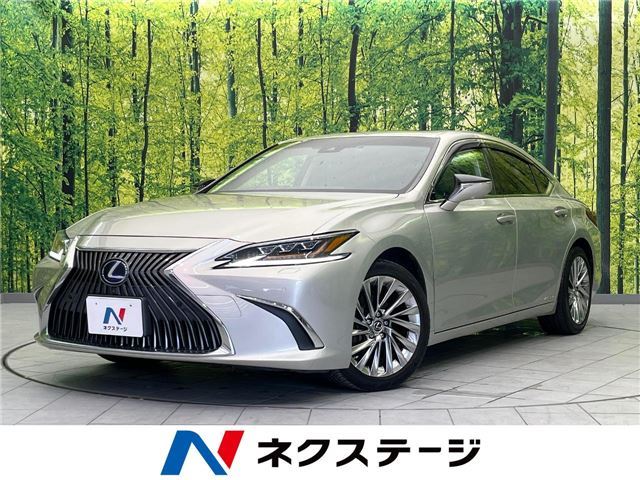 2019 Lexus ES photo 4