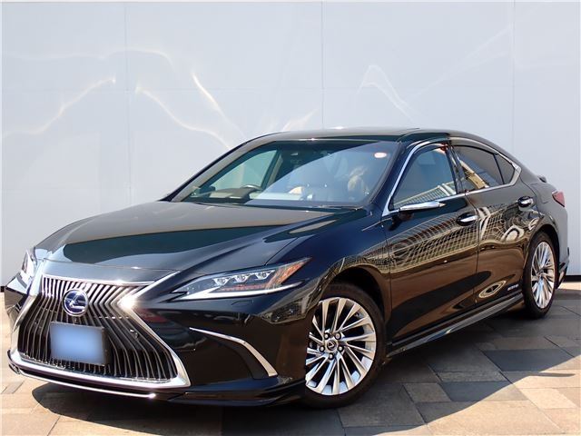 2019 Lexus ES photo 1
