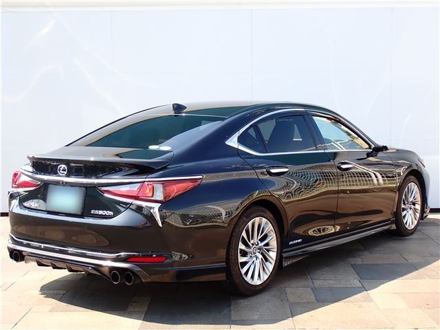 2019 Lexus ES photo 2