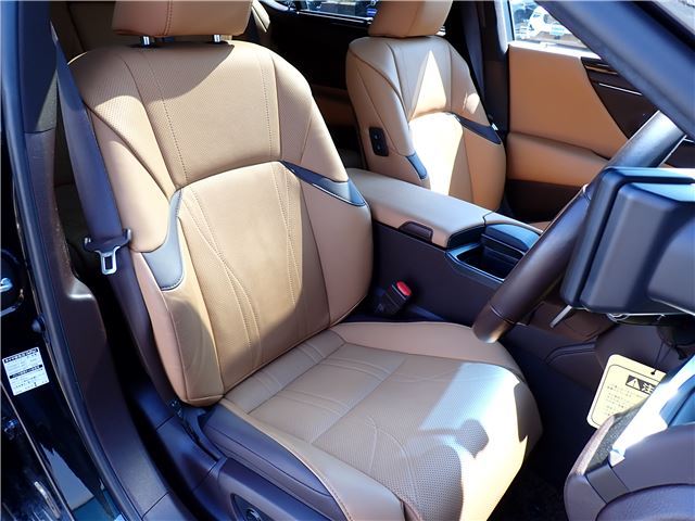 2019 Lexus ES thumbnail 17