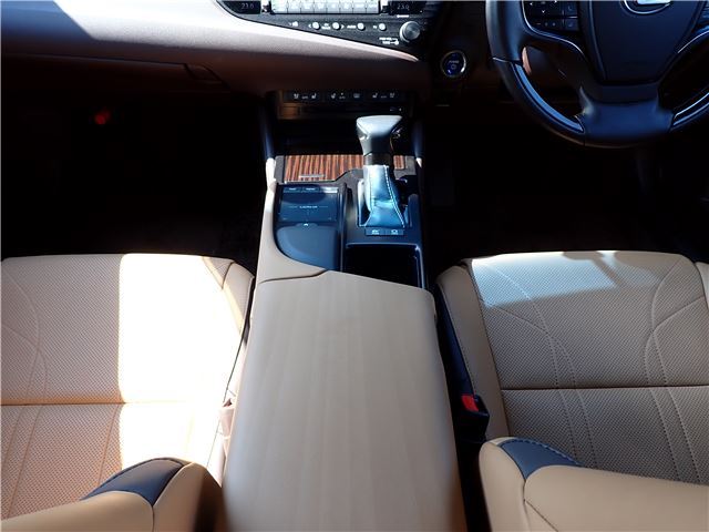 2019 Lexus ES thumbnail 37