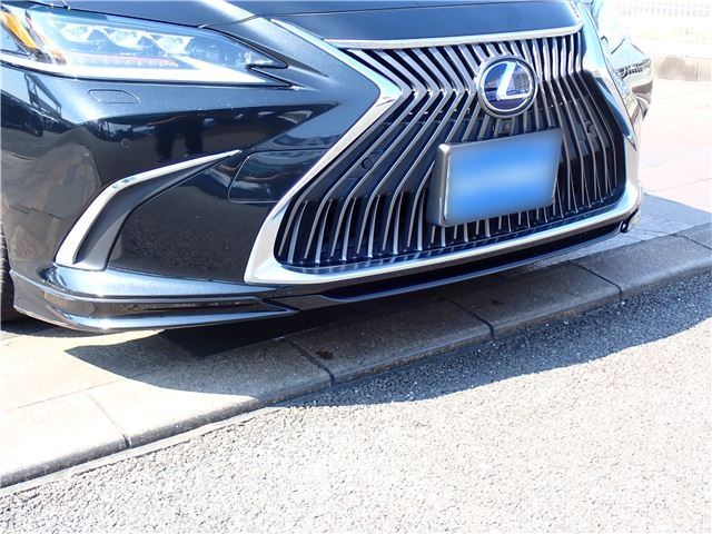2019 Lexus ES photo 8