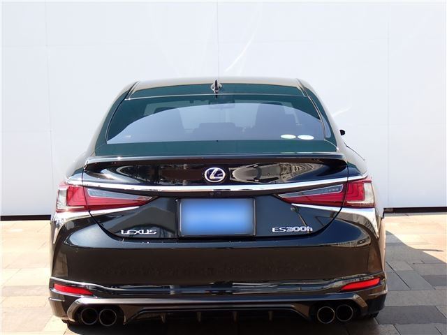 2019 Lexus ES photo 6