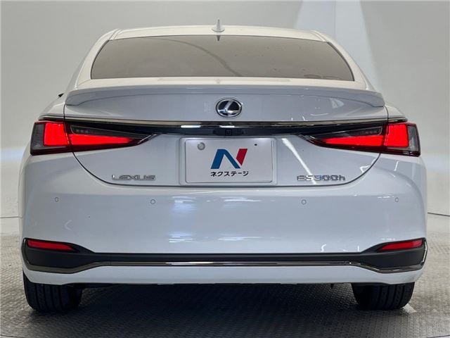 2020 Lexus ES thumbnail 16