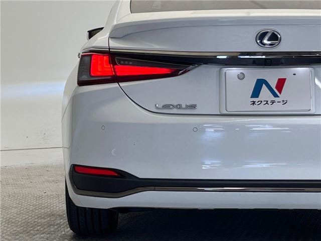 2020 Lexus ES thumbnail 17