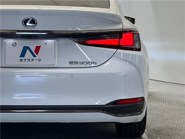 2020 Lexus ES thumbnail 18