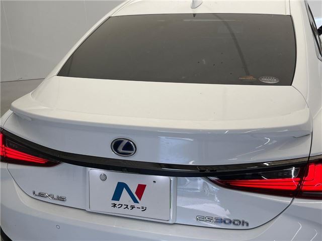 2020 Lexus ES thumbnail 22