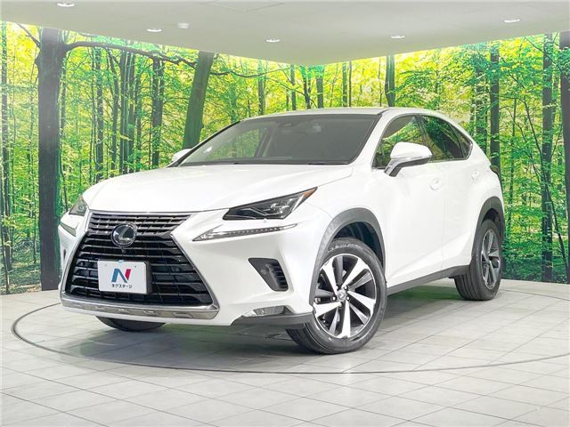 صورة 1 لـ 2018 Lexus NX