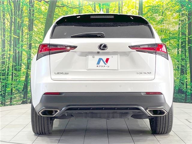 صورة 11 لـ 2018 Lexus NX