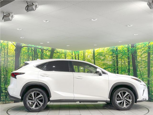 صورة مصغرة 19 لـ 2018 Lexus NX