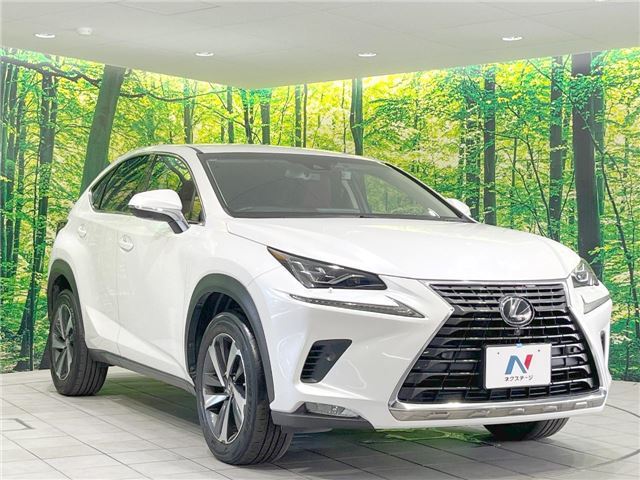 صورة مصغرة 20 لـ 2018 Lexus NX