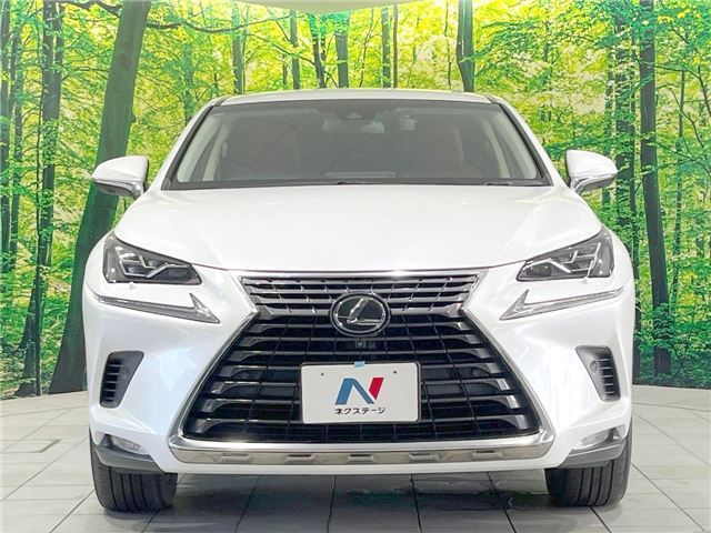 صورة مصغرة 21 لـ 2018 Lexus NX