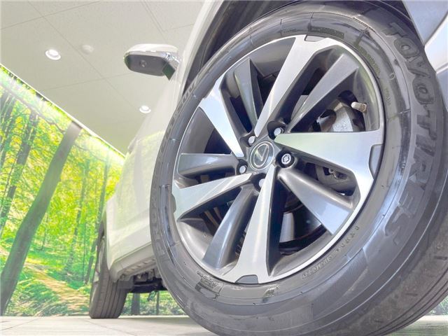 صورة مصغرة 24 لـ 2018 Lexus NX
