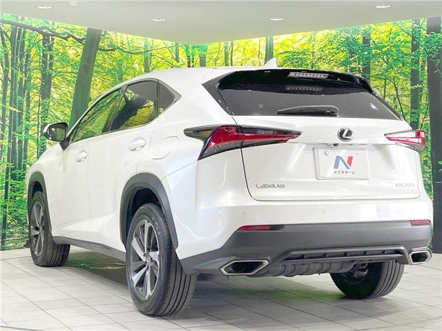 صورة 10 لـ 2018 Lexus NX