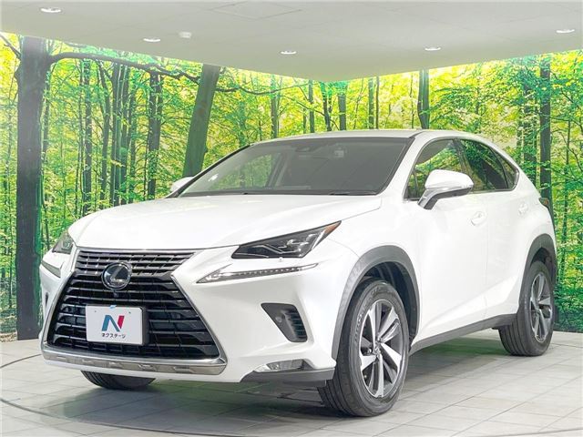 صورة 8 لـ 2018 Lexus NX