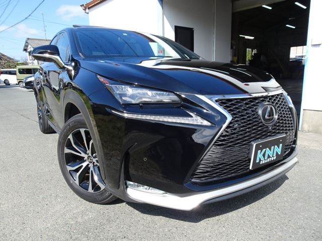 2014 Lexus NX 照片 1