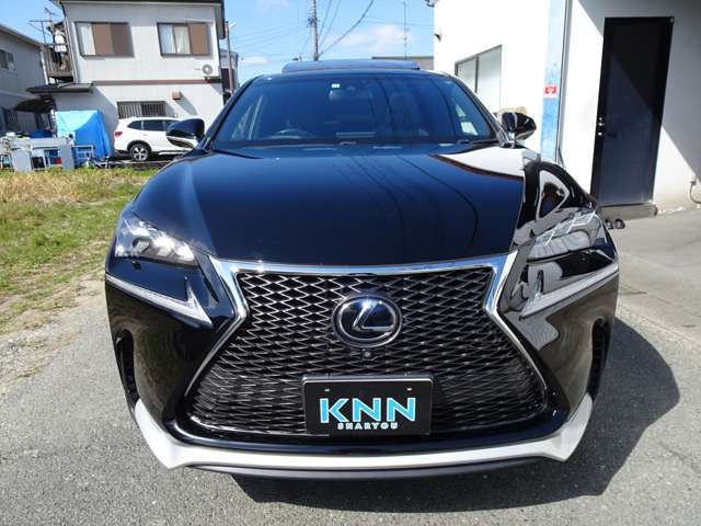 2014 Lexus NX 照片 2
