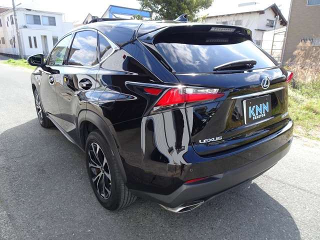 2014 Lexus NX 照片 10