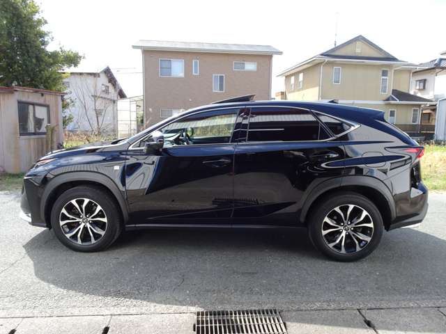 2014 Lexus NX 照片 9