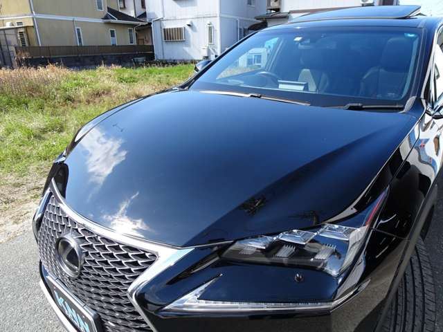 2014 Lexus NX 照片 4