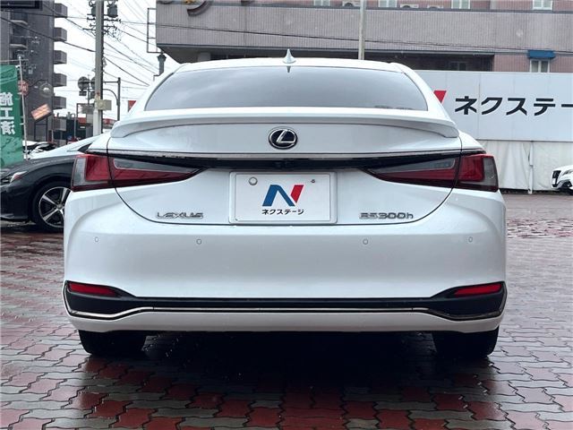 2020 Lexus ES photo 9