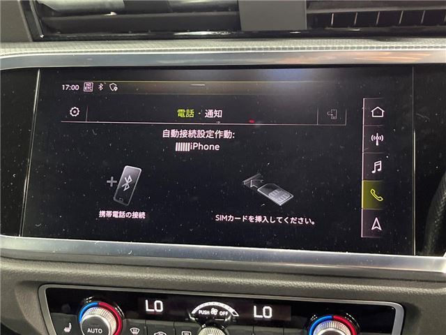 2020 AUDI Q3 SPORTBACK 缩略图 29