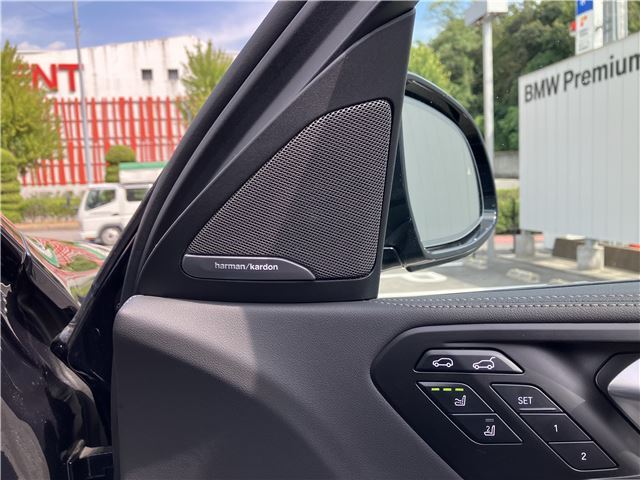 صورة مصغرة 30 لـ 2024 BMW X6