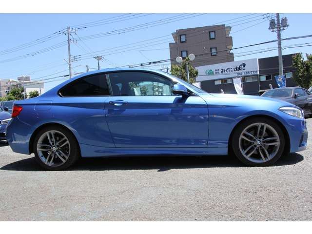 2017 BMW 2 SERIES COUPE — миниатюра 24